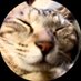 𝒉𝒊𝒓𝒂𝒎𝒆@そろそろ春イカ (@riceball907) Twitter profile photo 𝒉𝒊𝒓𝒂𝒎𝒆@そろそろ春イカ (@riceball907) Twitter profile photo
