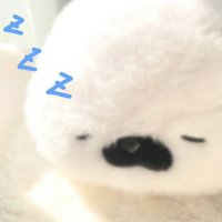 当不成猫当尸体 (@bobokiui) 's Twitter Profile