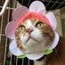 ããã«ð¯ð·ð¢ (@yxwpzroir4kwkk0) Twitter profile photo ããã«ð¯ð·ð¢ (@yxwpzroir4kwkk0) Twitter profile photo