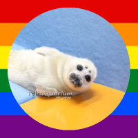 Nikolas (@nikolastoba) 's Twitter Profile Photo Nikolas (@nikolastoba) 's Twitter Profile Photo