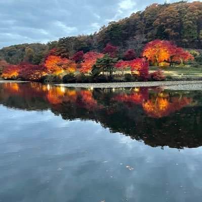 ShiminBBB's profile picture. 