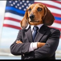 David (@davlaw2) 's Twitter Profile