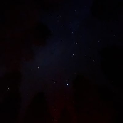 shrxgz's profile picture. $5,575