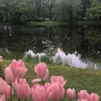 DALALY💞 (@clasyae5) Twitter profile photo