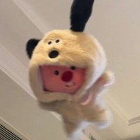 cio (@ciopypaste) 's Twitter Profile