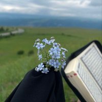 Shams Amer (@s6a4s) 's Twitter Profile