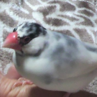 けんじぃさんのプロフィール画像