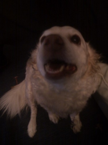 atheopemptou's profile picture. Into IT, Cloud and Sales. Big F1 fan. Also a fan of Cyprus. Actually not Cyprus as such but what our country could become.