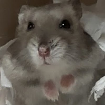 ericlin1231's profile picture. 