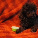 Caitlin Parent - TC - @CaitsTupperware - Twitter