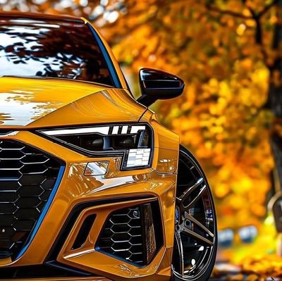 MajorMatata's profile picture. Web 3 enthusiast