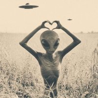 xoxo (@xoxo11_11star) Twitter profile photo