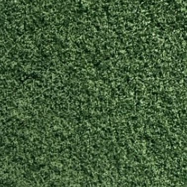 cc_11111111's profile picture. 