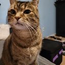 Chase Geiser - @Dipper0122 - Twitter