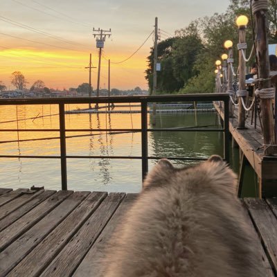 SeangOnee's profile picture. เป็นแค่เสียงหนึ่ง อย่าหาสาระจากเสียงเลย สนใจเรื่อง ธรรมชาติที่ยิ่งใหญ่เสมอ