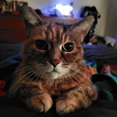 JRE202311's profile picture. Play stupid games, win stupid prizes... April 2029