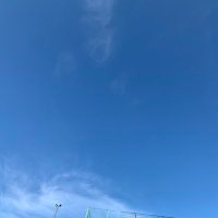ふてねこ (@vopw3fute) 's Twitter Profile