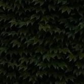 apalah (@julia72) 's Twitter Profile