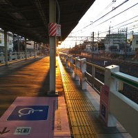 ノググ (@shaojie726) 's Twitter Profile