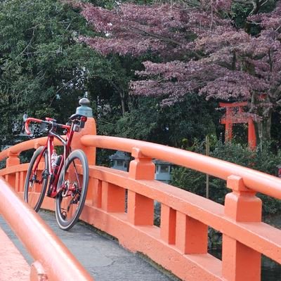 42才にして軽い気持ちと勢いだけでロードバイクを乗りはじめました。通勤メインで休日は近場をうろうろしてます。連休になるとちょっと遠くに行きがち。脚はすぐに売り切れ心は比較的早めに折れます。
基本週一で更新目指します。
無言フォロー失礼致します。
#ロードバイク乗りと繋がりたい
#ロードバイク好きと繋がりたい