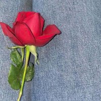 نحوف جاد جازان (@lshr296924) Twitter profile photo