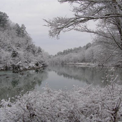 mmcdonn's profile picture. 