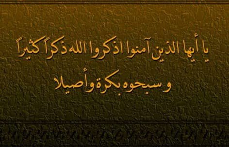 primitivism_199's profile picture. لا اله الا الله وحده