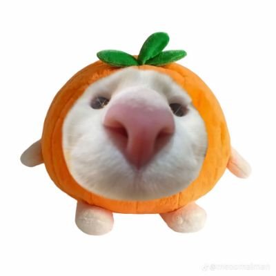 WSooyas's profile picture. dan naga