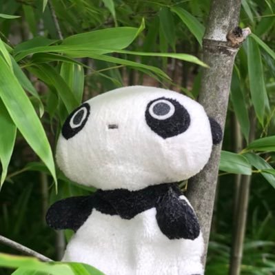 takino0416's profile picture. I am a panda that is soft and surprisingly moist.