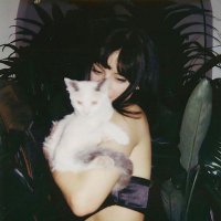 andi ★ (@literalsum) 's Twitter Profile