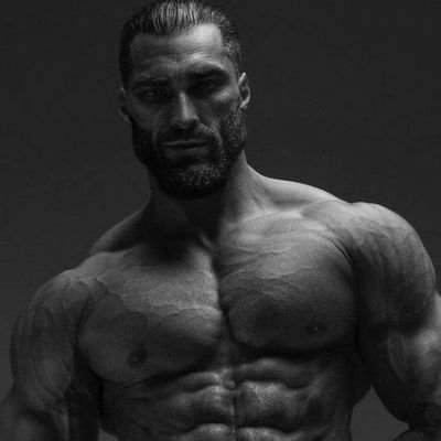 CStempim's profile picture. Sempre em busca dos mês sonhos...
$DOG $GIGA $BTC $BRETT