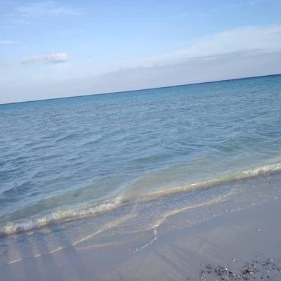 misara99's profile picture. وأنتِ النجمة التي تسقطُ ليلاً على قَلبي 
فتتحققُ الأمنية ...🦋🤍