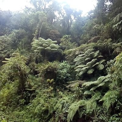 khresta2's profile picture. Uno mas