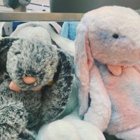 ไอแอมอะบาร์บี้ (@iwillyouever) 's Twitter Profile