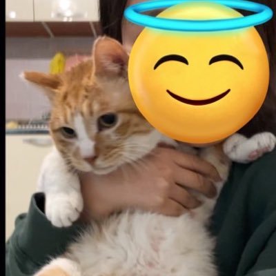 samho_angel's profile picture. 갤리 10세 / 보리 10세 / 동성 7세(추정) / 동동 4세(추정)