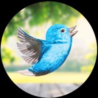 Mohamad Saeed Alnasre (@mad79rid) Twitter profile photo