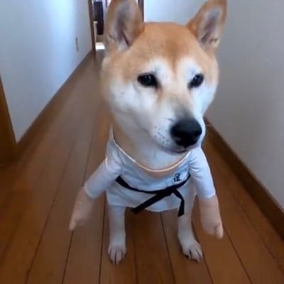 よしくん (@yoshi1278_986S) / Posts / X