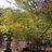 Inamura_sky
