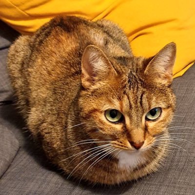 Sam24071368's profile picture. girlboss