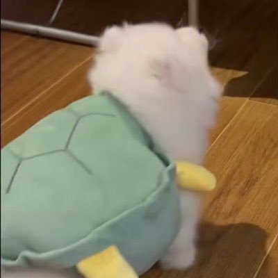 yaniuo_'s profile picture. only for BAEKHYUN