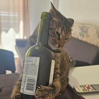 rory (@ideffingk) 's Twitter Profile