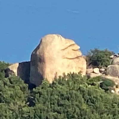 mTh8nqvPd317827's profile picture. 