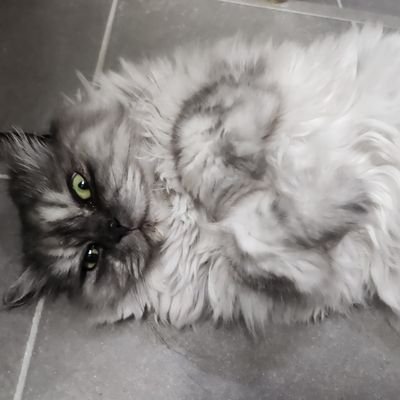 diginabox1's profile picture. 