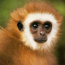 Rigoberto Escobar - @rigosnet - Twitter