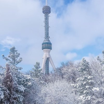 StatsUzb's profile picture. All things about Uzbekistan | Stats
