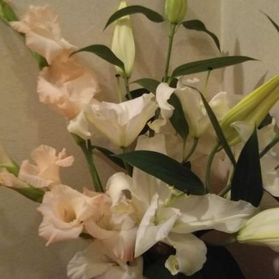 Imuran61369's profile picture. 