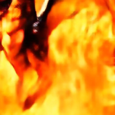 VegimiteG's profile picture. 