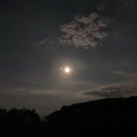Jacob (@jrr_io) 's Twitter Profile