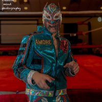 Tigre Amore (@eltigreamore) 's Twitter Profile