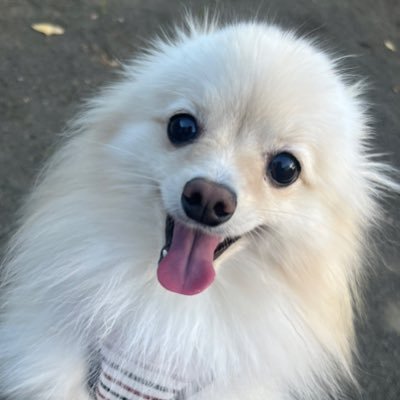 eringu_11's profile picture. 無言フォロー、知らない人は🧱